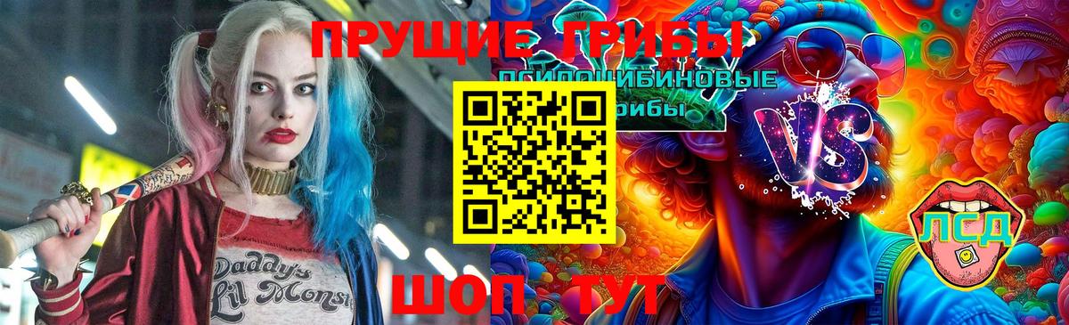 Галлюциногенные грибы Psilocybine cubensis Ревда
