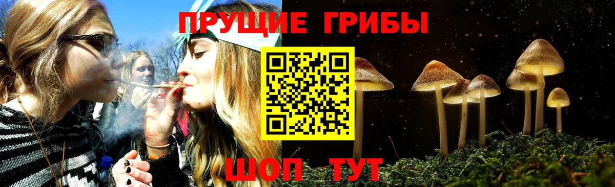 Псилоцибиновые грибы ЛСД  Вход с VPN  Галлюциногенные грибы Psilocybine cubensis  Ревда 